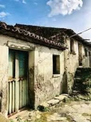 Immagine3
